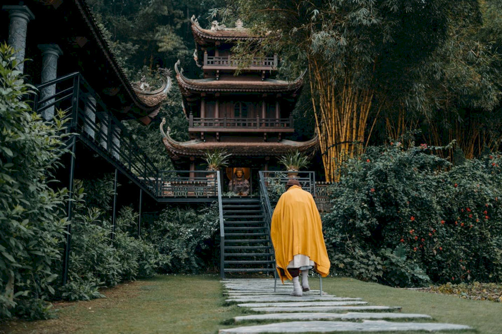 Từng mảng kiến trúc độc đáo xen kẽ giữa vườn cây tươi xanh